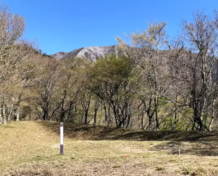 静かな登山を楽しめる-上平寺尾根ルート