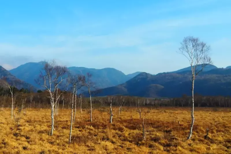 戦場ヶ原自然研究路
