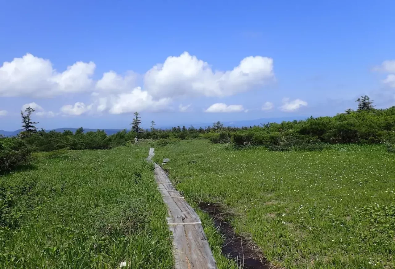 下毛無岱を経由して山麓の酸ヶ湯温泉へ向かう下山道