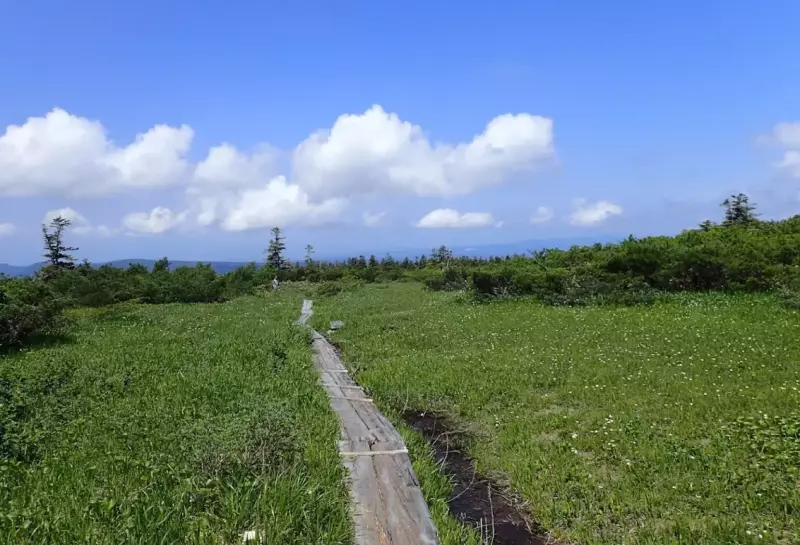 下毛無岱を経由して山麓の酸ヶ湯温泉へ向かう下山道