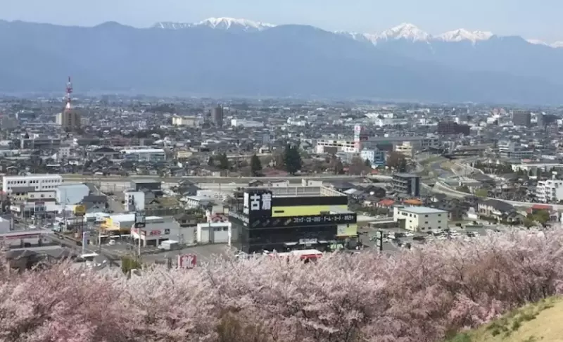 弘法山、桜、眺望