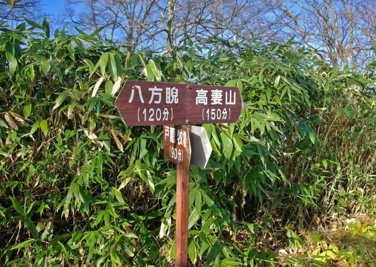 一不動経由、弥勒新道経由の分岐点