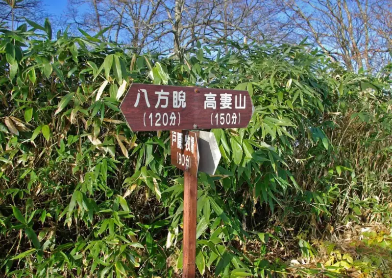 一不動経由、弥勒新道経由の分岐点