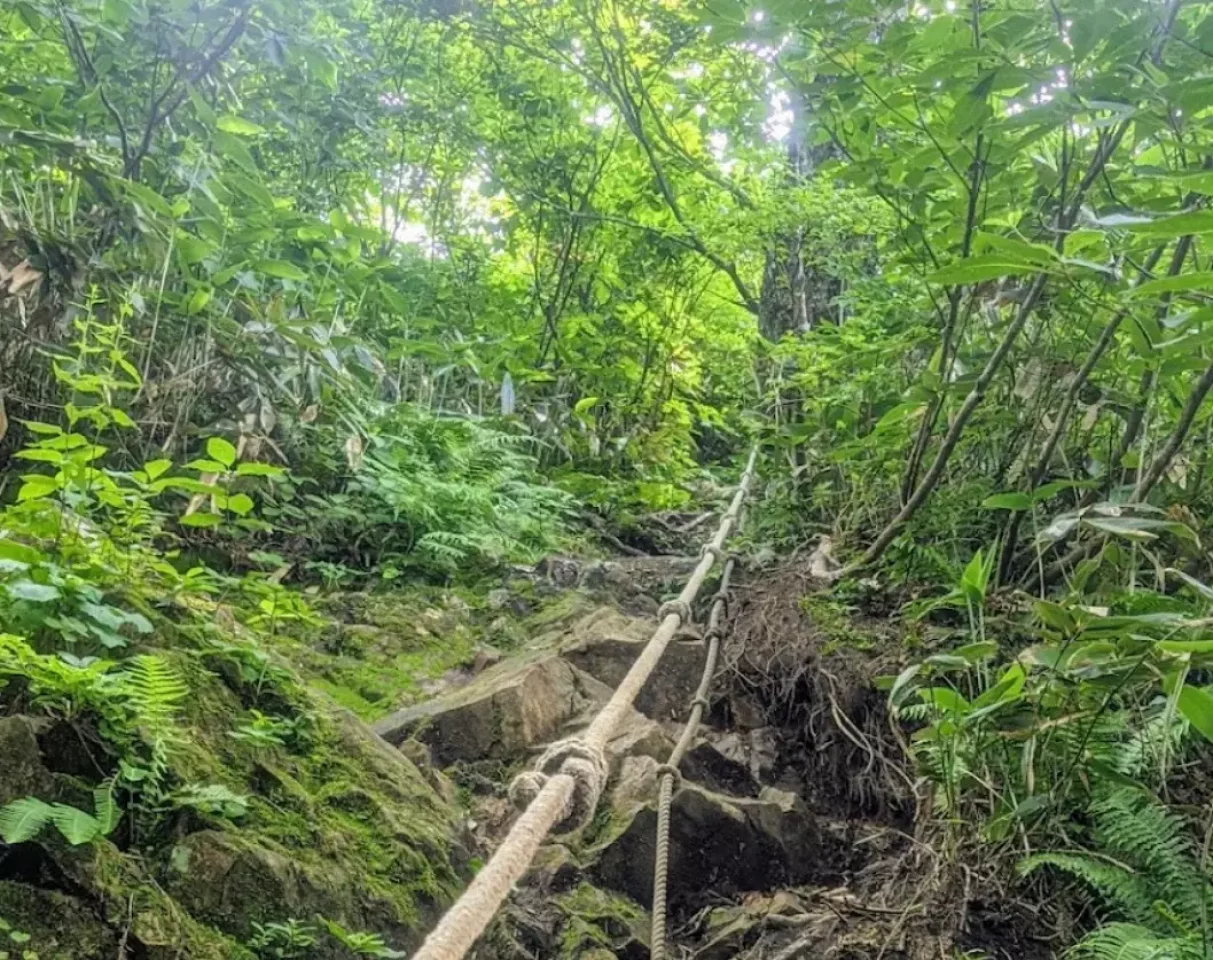 荒海山登山道 ロープ