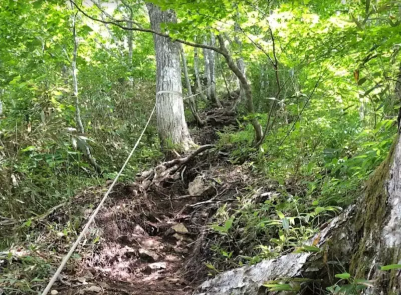 鎖とトラバースのある沢沿いの道を登って行く