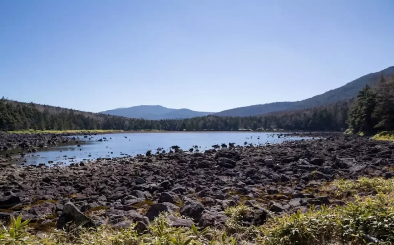 夏もいいけど冬もまた素晴らしい!雨池