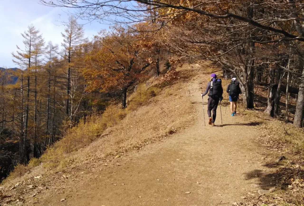 甲州側、秩父側と様々なエリアから雲取山へ向かう事ができる