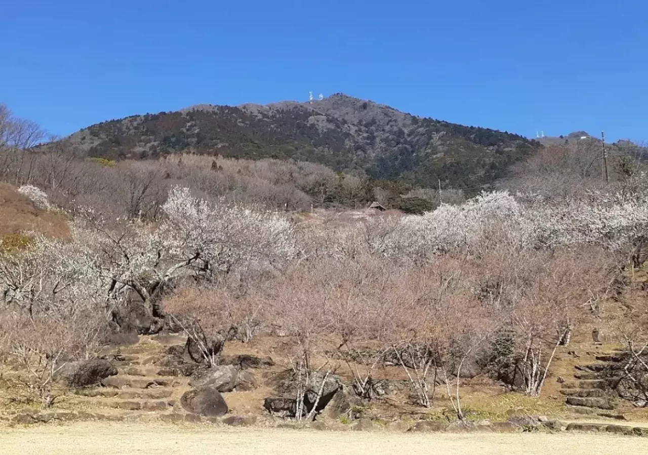 筑波山
3月 登山 関東