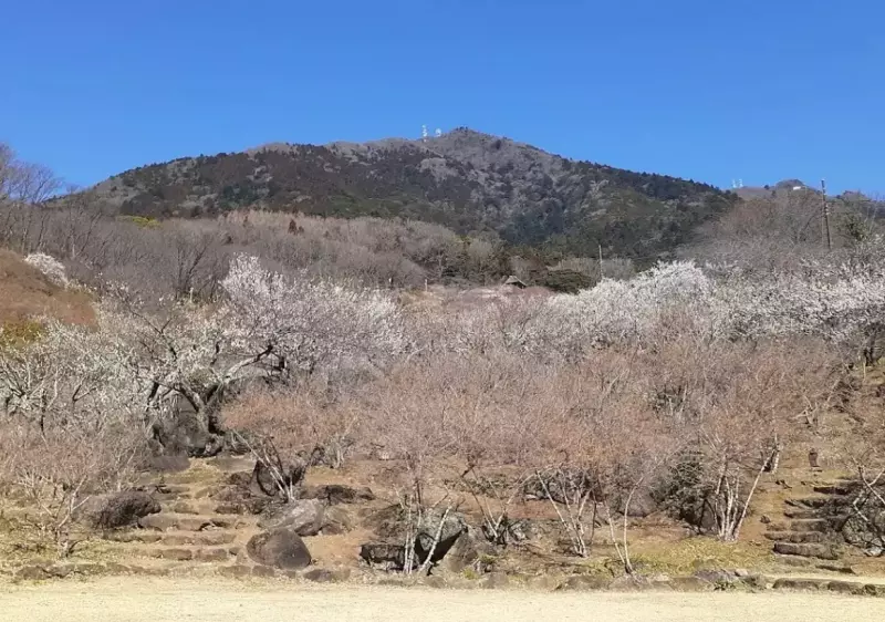 筑波山
登山 温泉