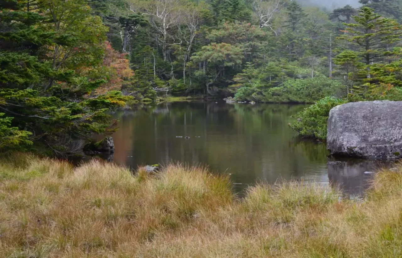 紅葉の季節にこそ美しい!七ツ池