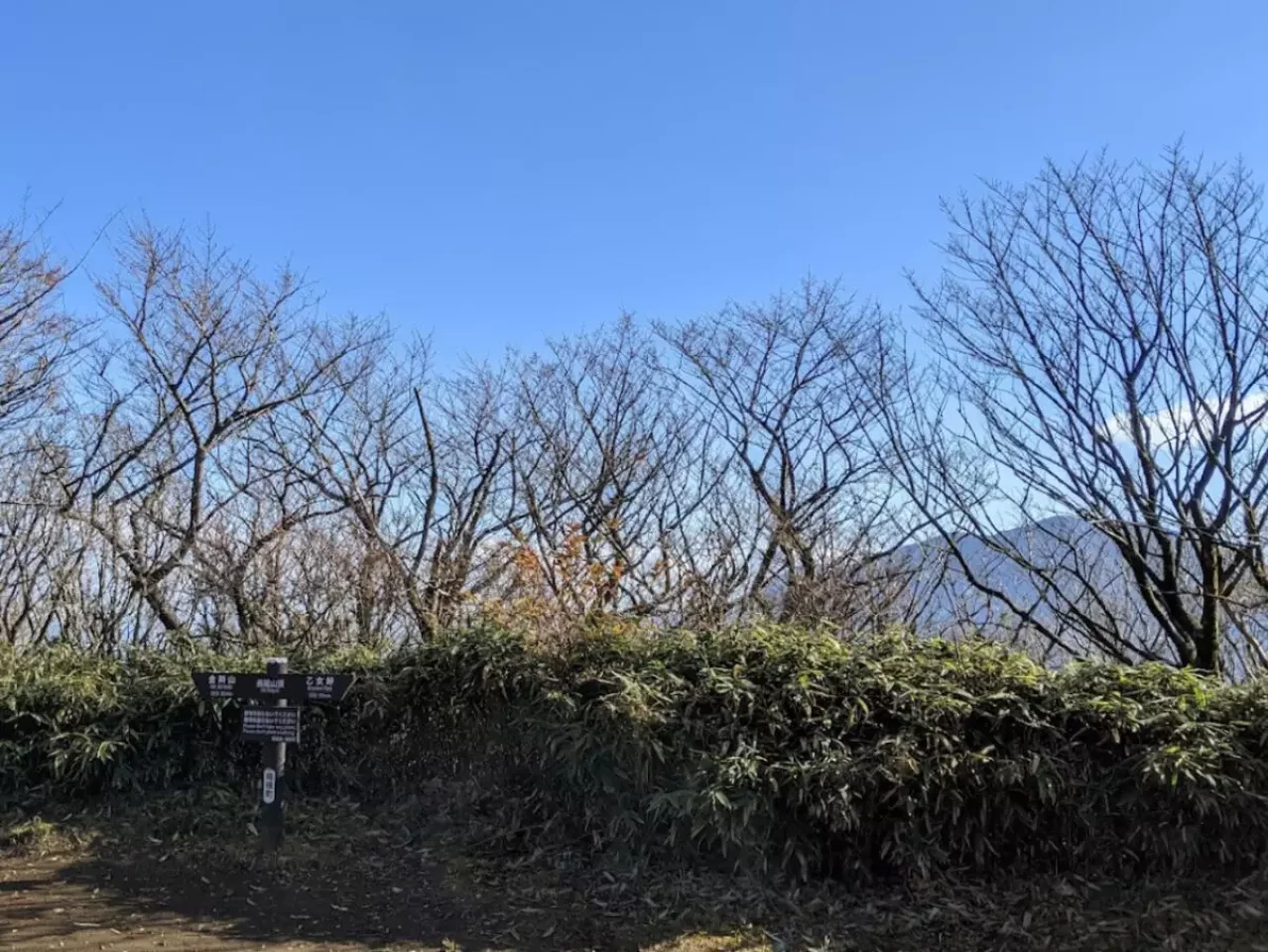 長尾山