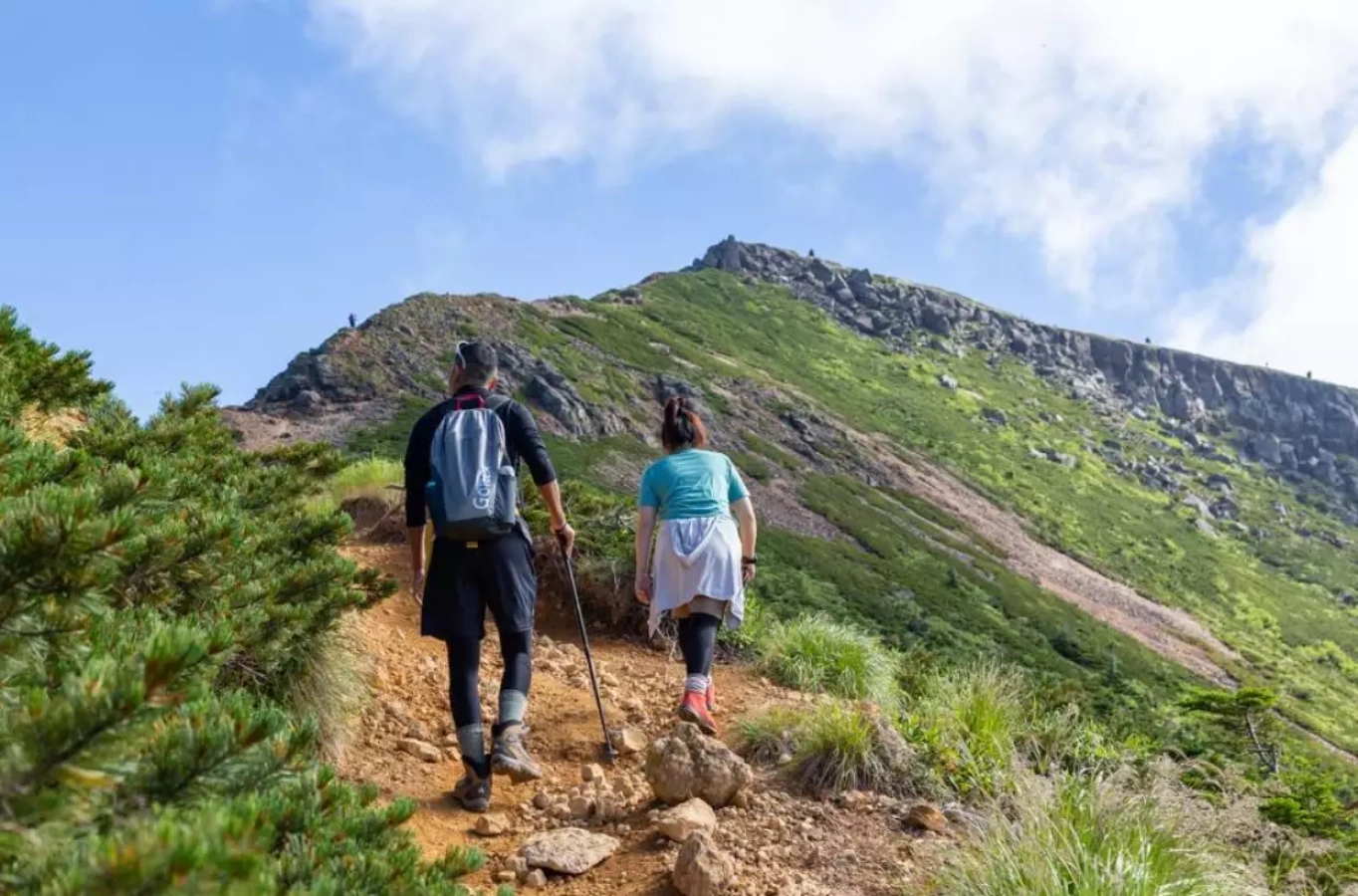 登山での暑さ対策と虫除け対策−着用する登山ウェアの色を考えよう