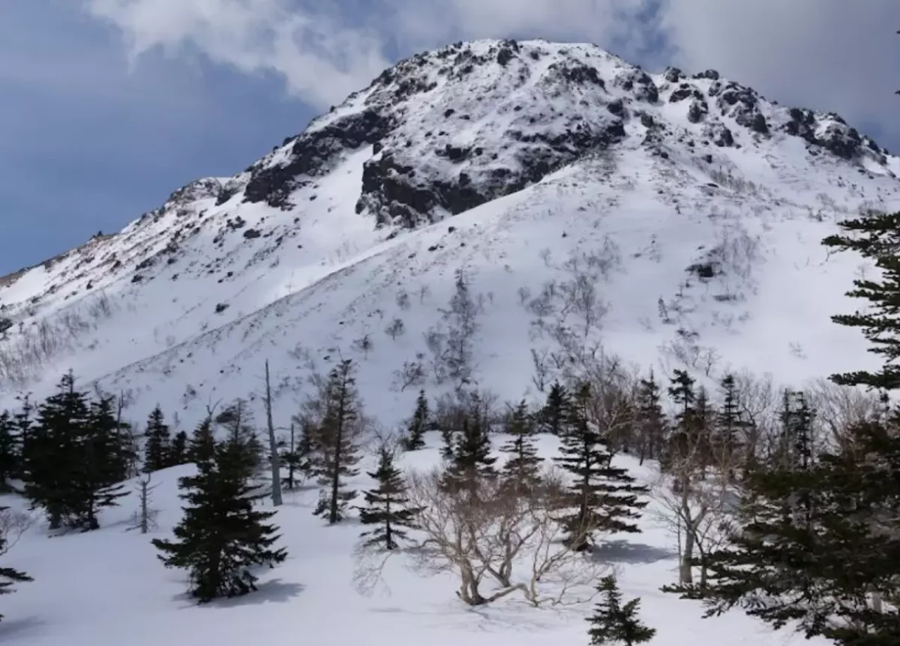 5月の日光白根山