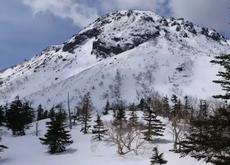 5月の日光白根山