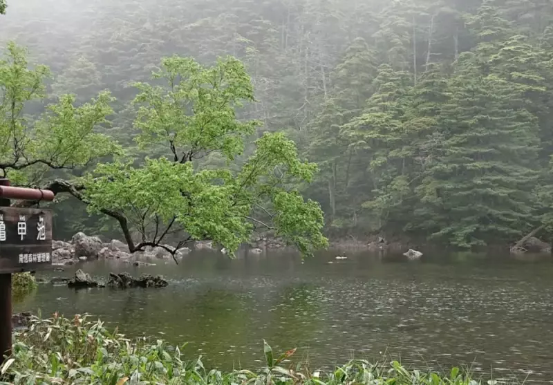日々の変化を楽しめる亀甲池
