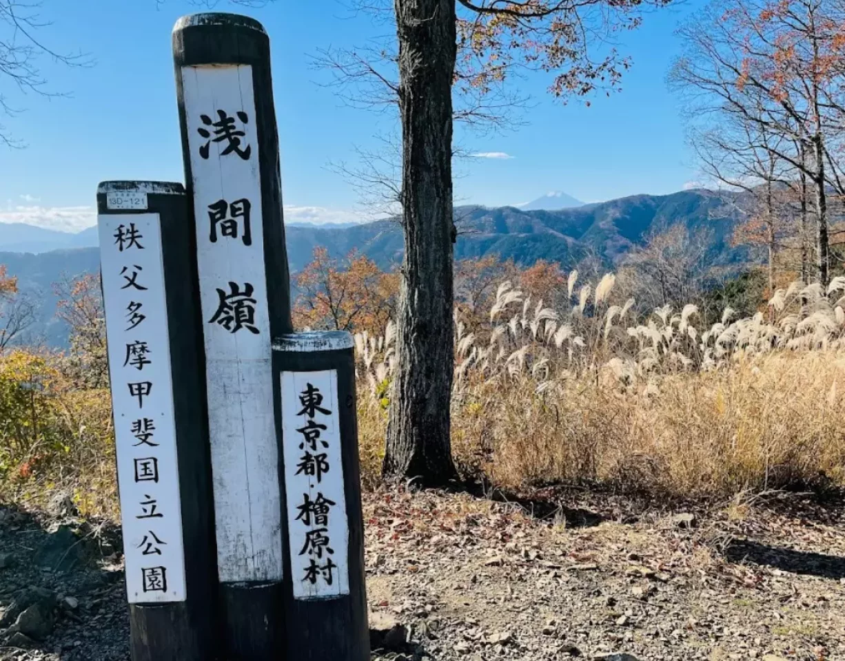 浅間嶺ピーク付近にある展望ポイント