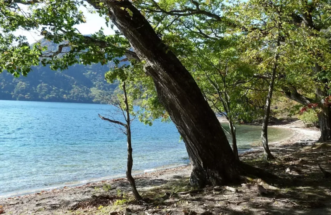 中禅寺湖畔 高山の登山コースの注意ポイント