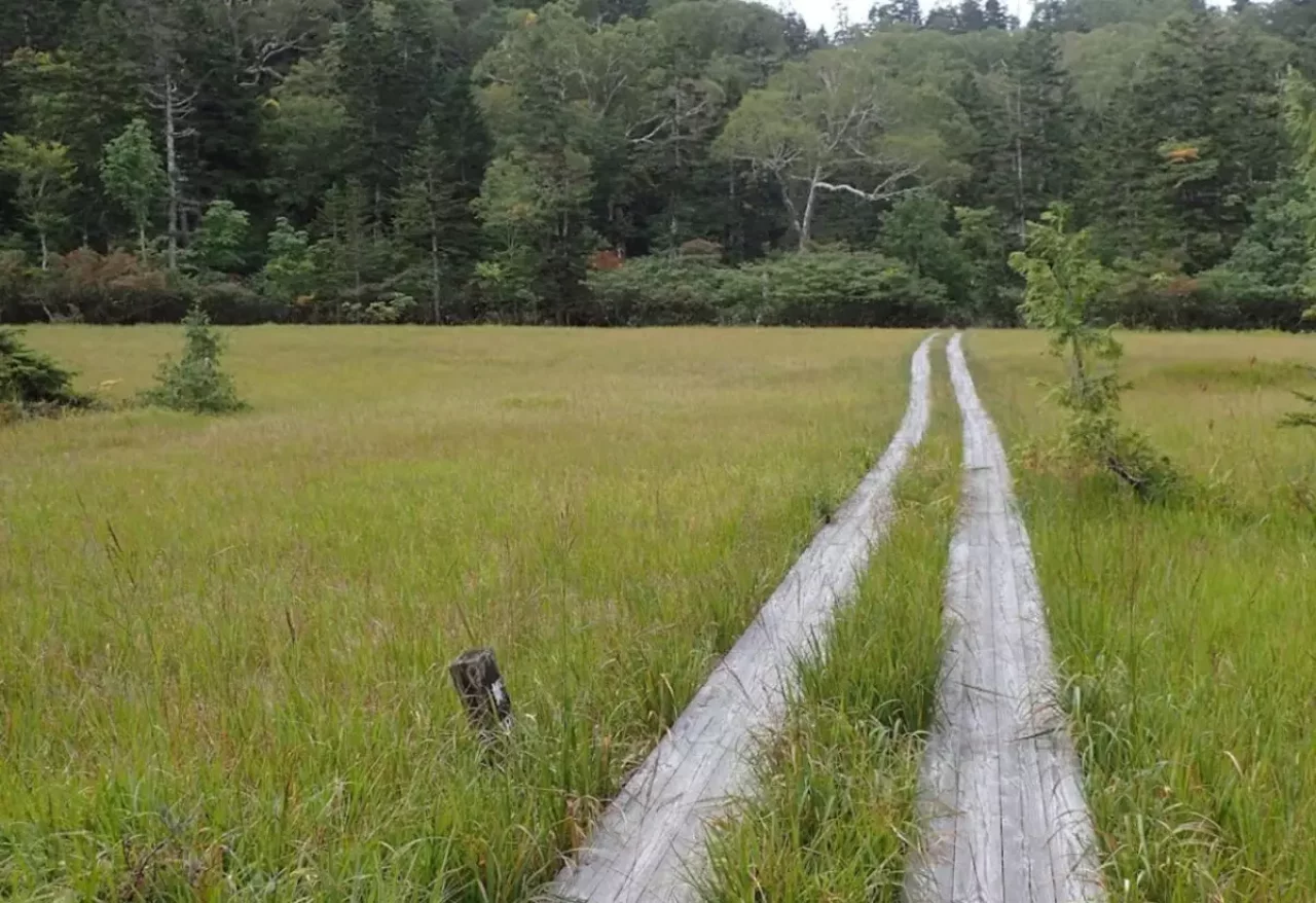 御池から燧裏林道:燧ヶ岳の北山腹から尾瀬ヶ原へのルート