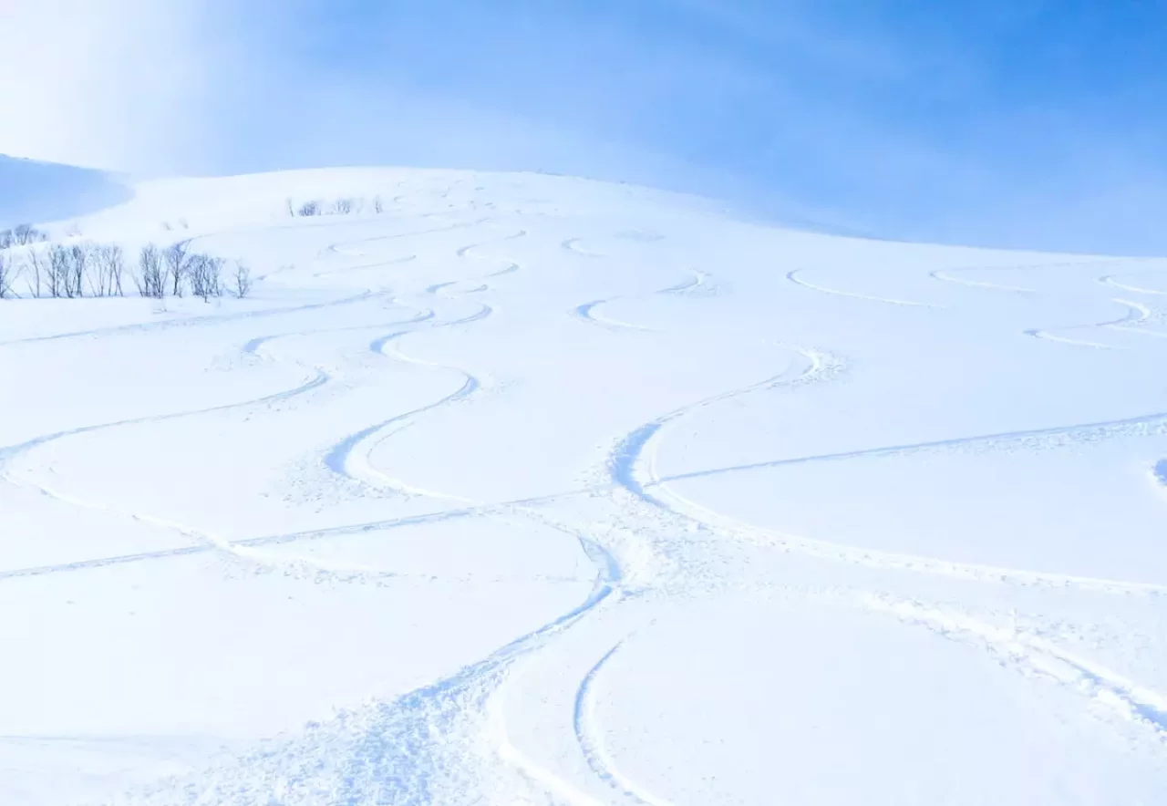 春夏秋冬で様々な楽しみ方ができる白馬岳
