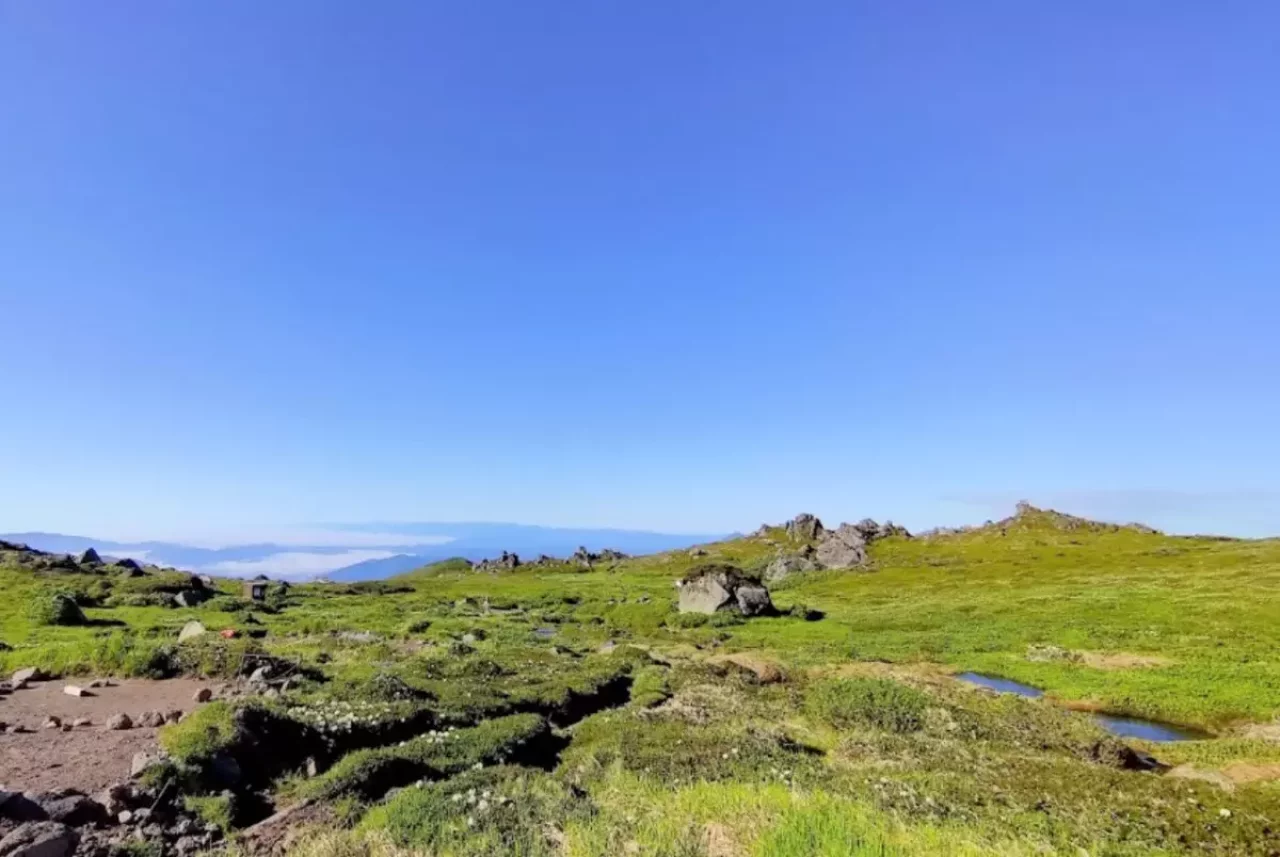 池塘が点在するのがトムラウシ公園の特徴