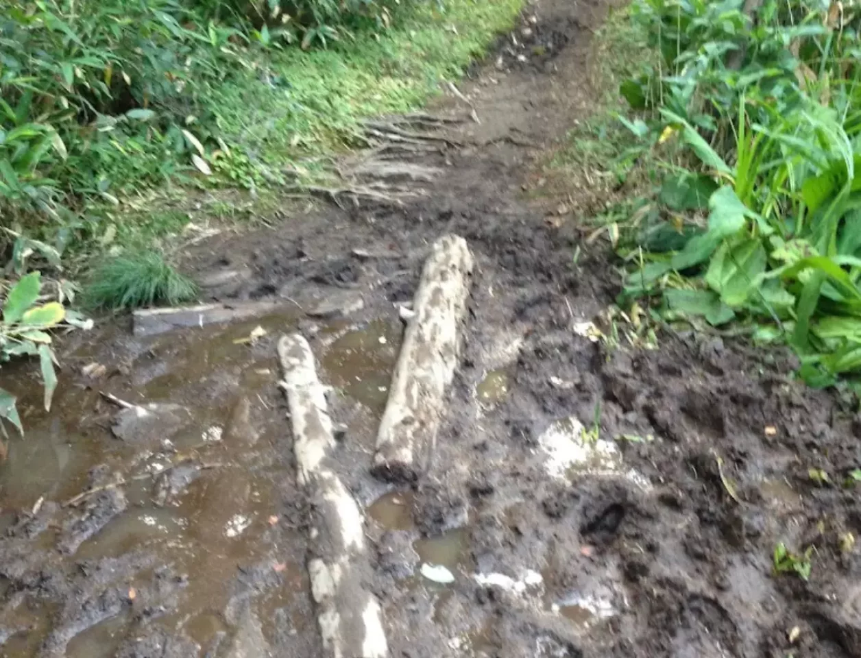 カムイ天上を過ぎると登山道はぬかるみ