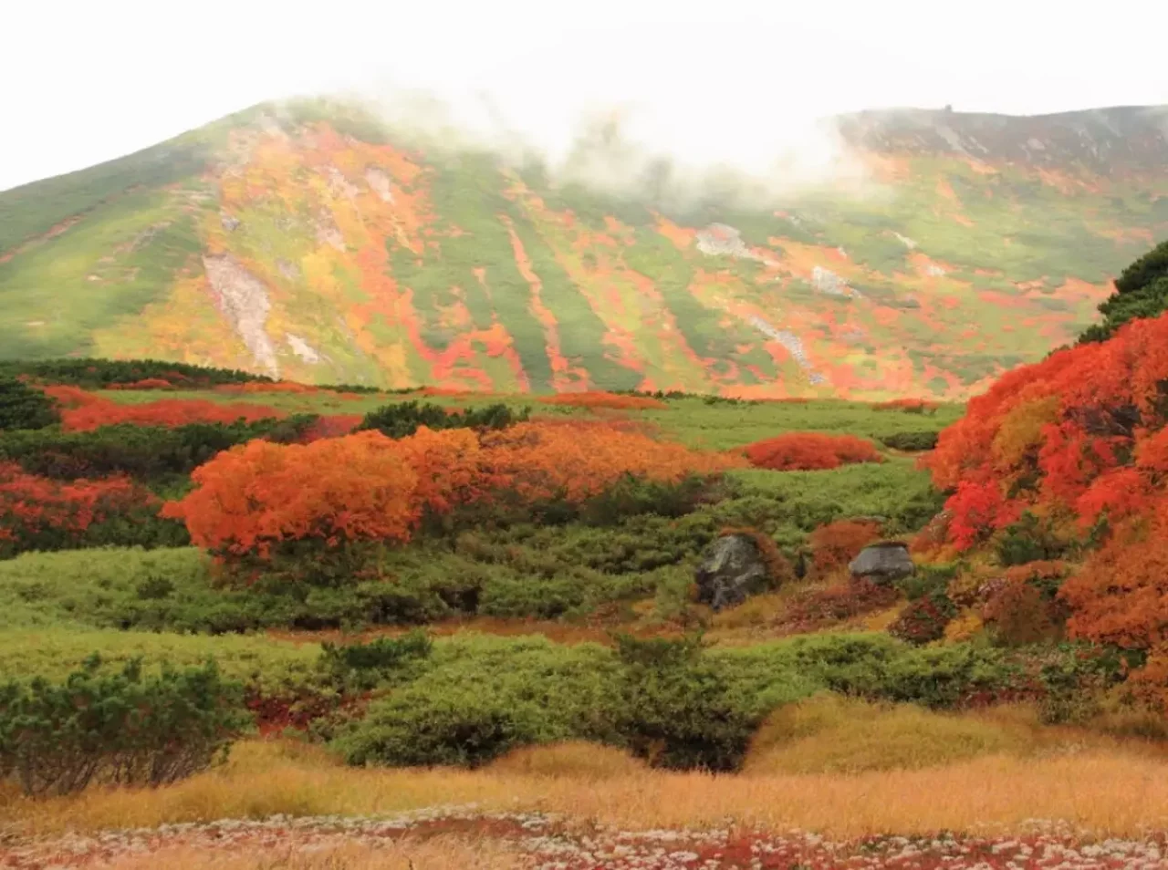 紅葉登山 大雪山・旭岳