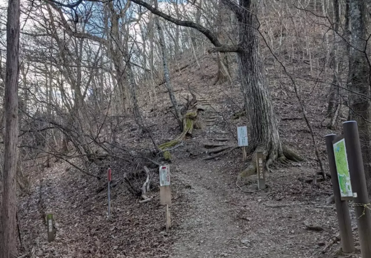 上り基調で軽いウォームアップで移動