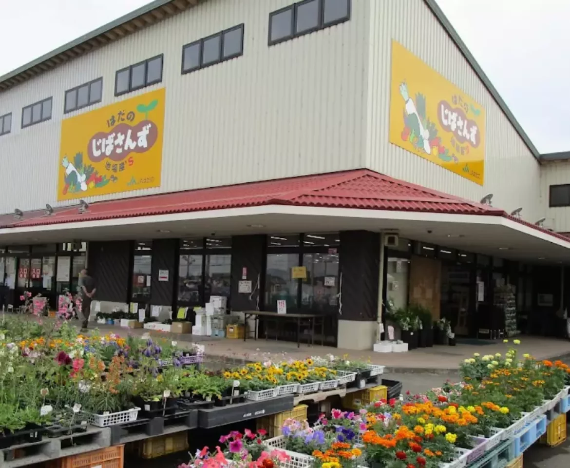 丹沢山 登山 観光 はだのじばさんず