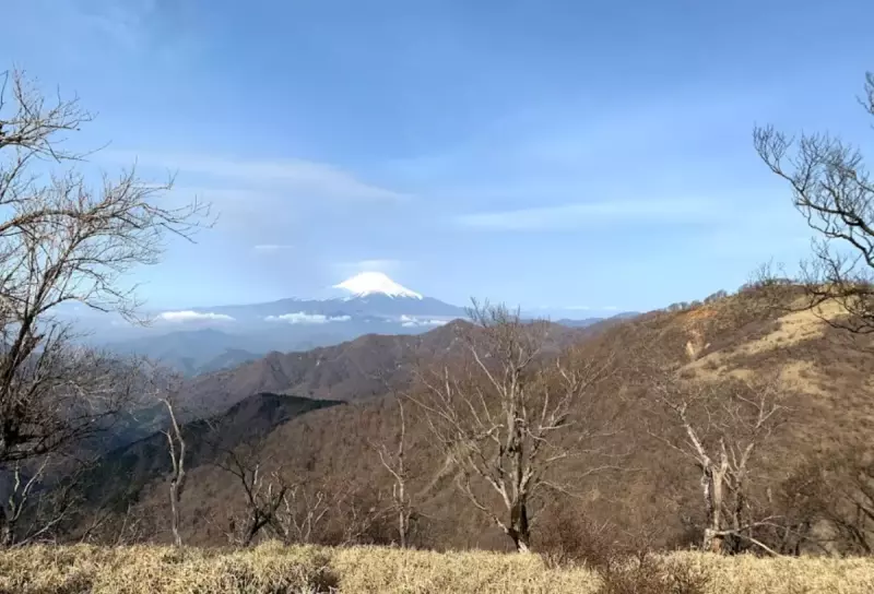 丹沢山の難易度別おすすめ登山コース