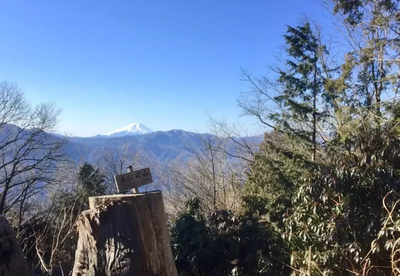 奥多摩駅から直ぐに登山が開始できる-本仁田山(東京都)