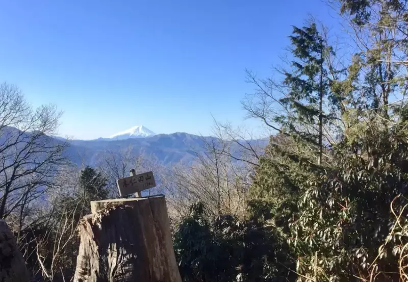 奥多摩駅から直ぐに登山が開始できる-本仁田山(東京都)