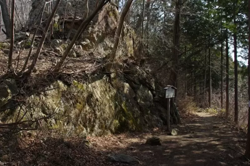 走りやすいトレイルランニングコース