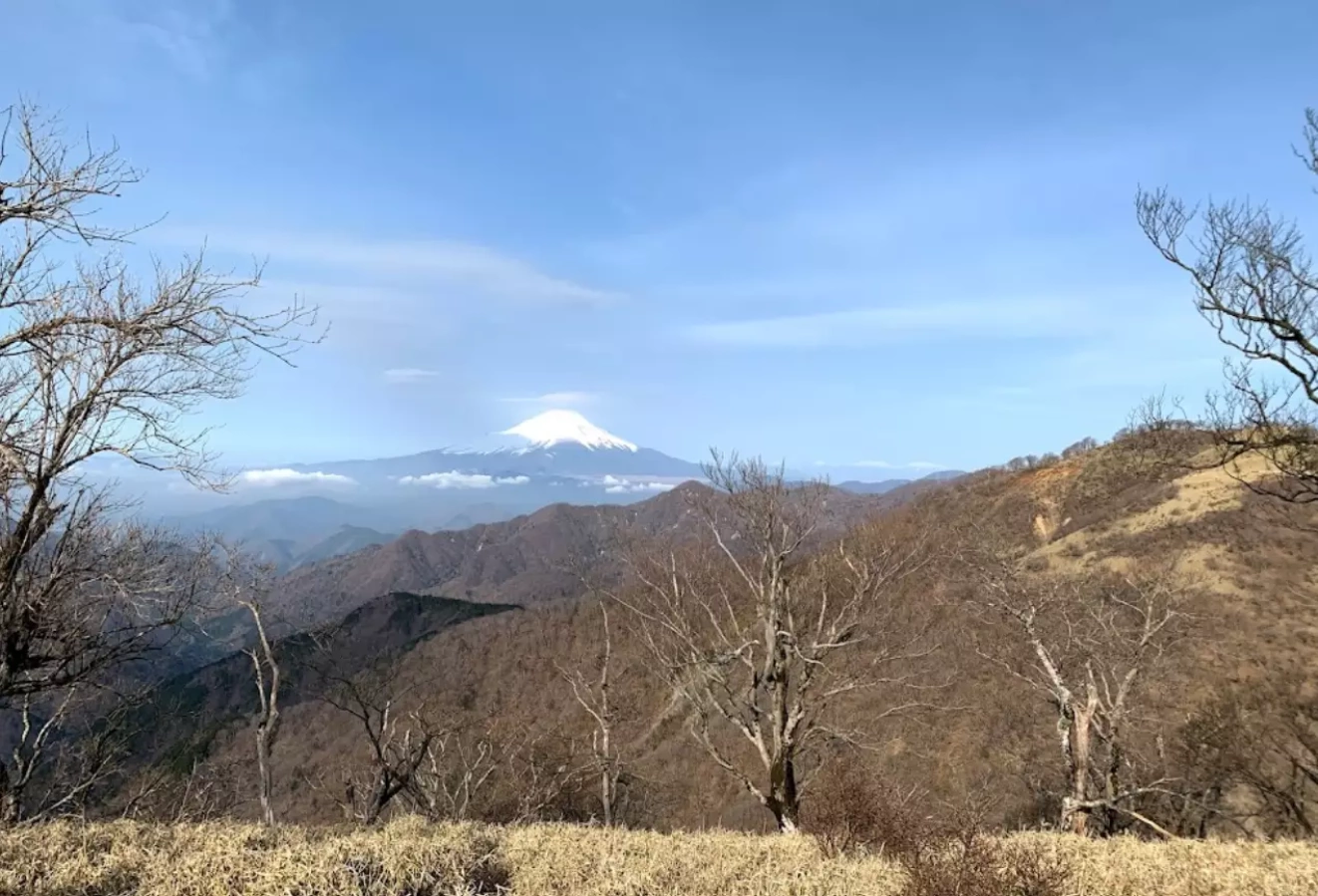 【日帰り・山小屋泊】丹沢山登山-初心者から楽しめる難易度別ルート紹介