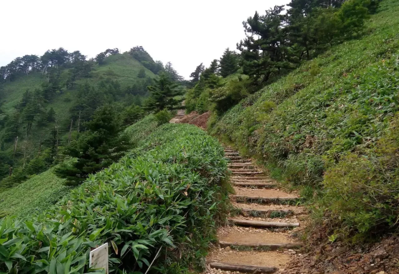 石鎚山登山道