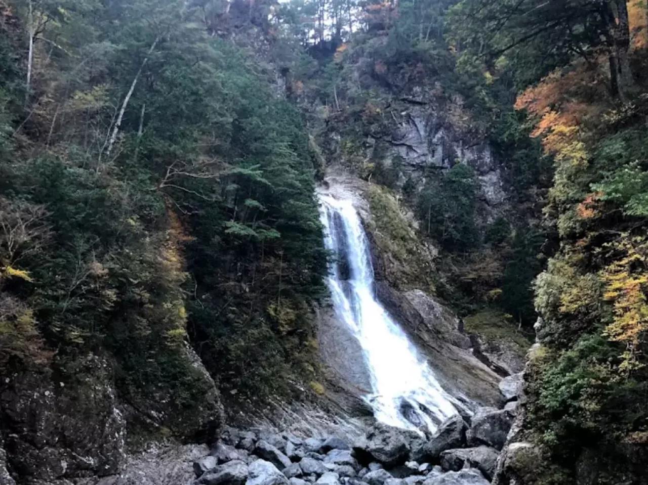 森林浴の多い登山道
