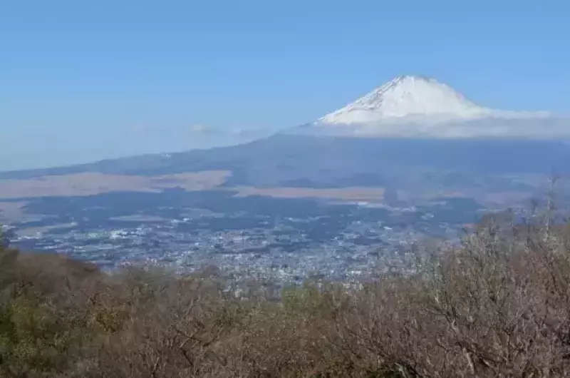 【日帰りも可能】横岳登山-高山植物の宝庫!横岳の魅力と難易度別ルート紹介
