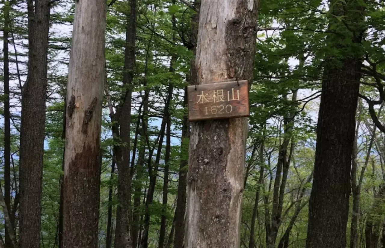 水根山