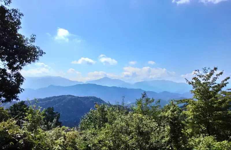 高尾山 登山 眺望