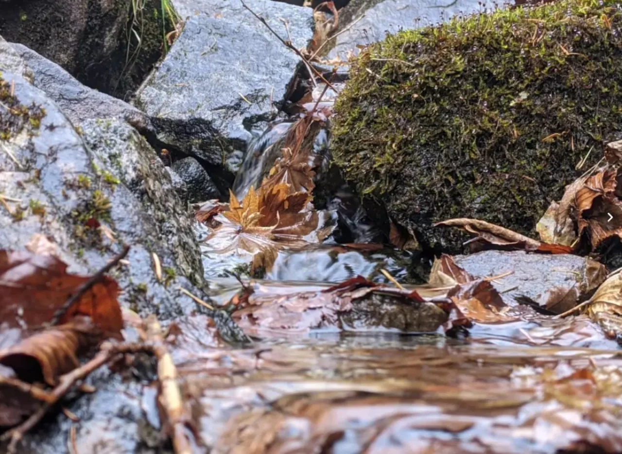 なぜ水干と呼ばれるのか?
