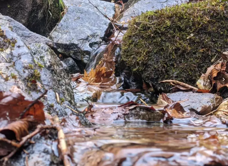 なぜ水干と呼ばれるのか?
