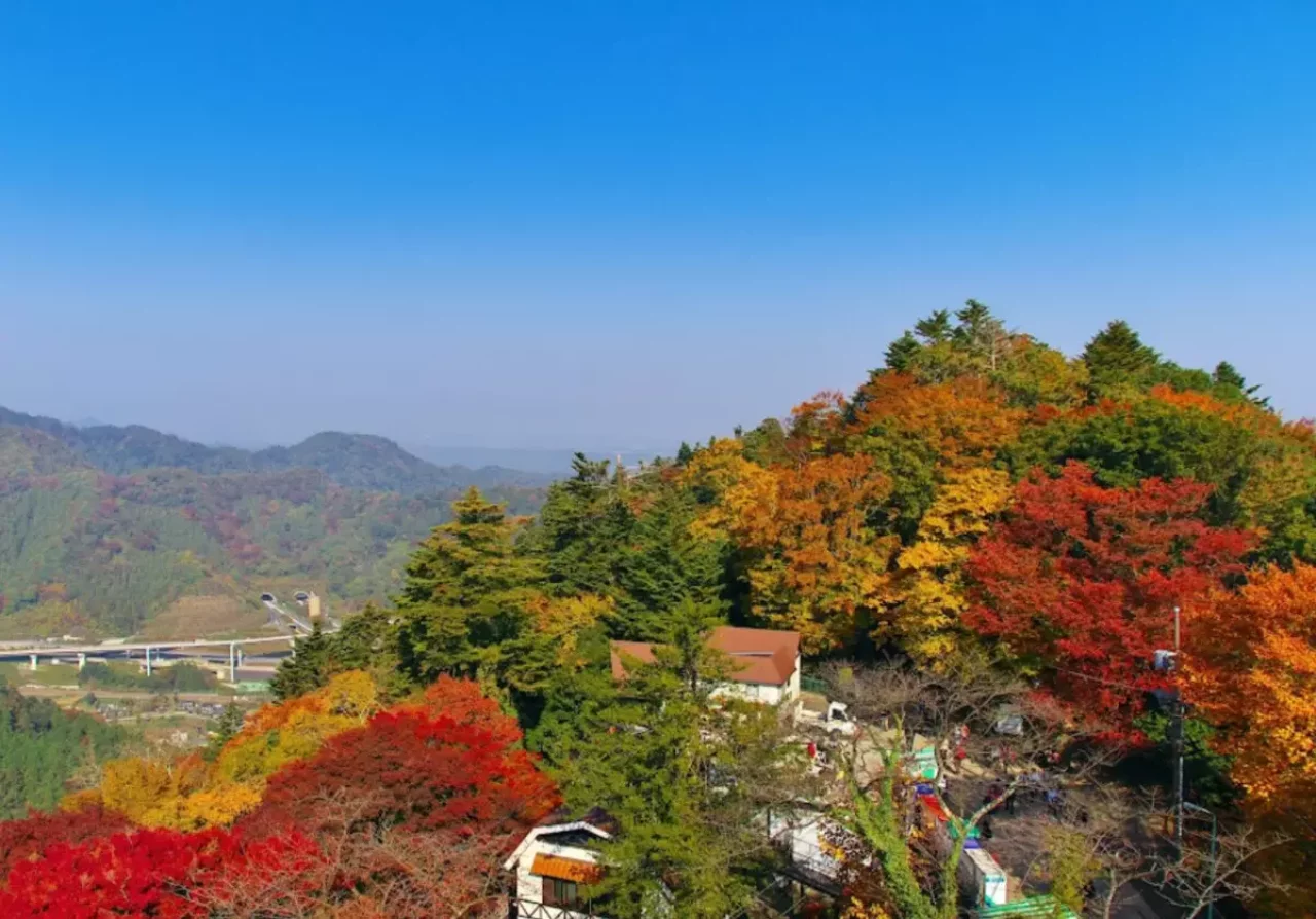 紅葉登山 高尾山