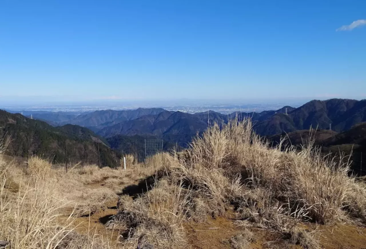 丹沢トレイルラン