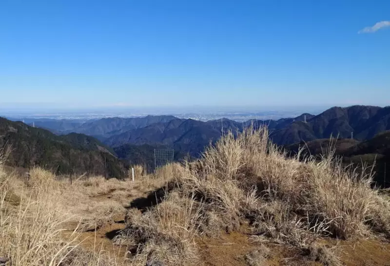 丹沢トレイルラン