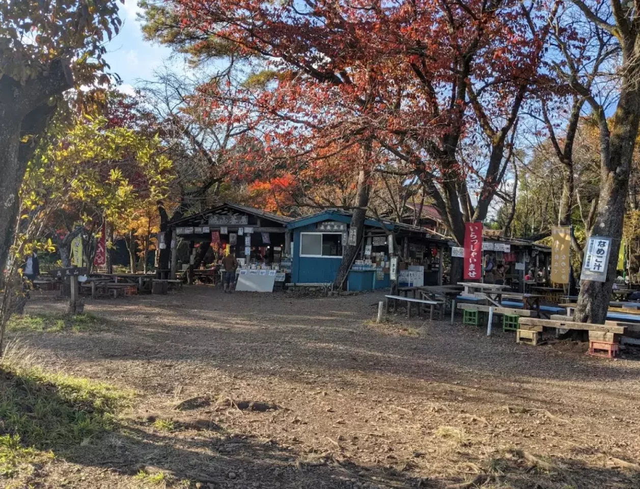 高尾山 登山 城山