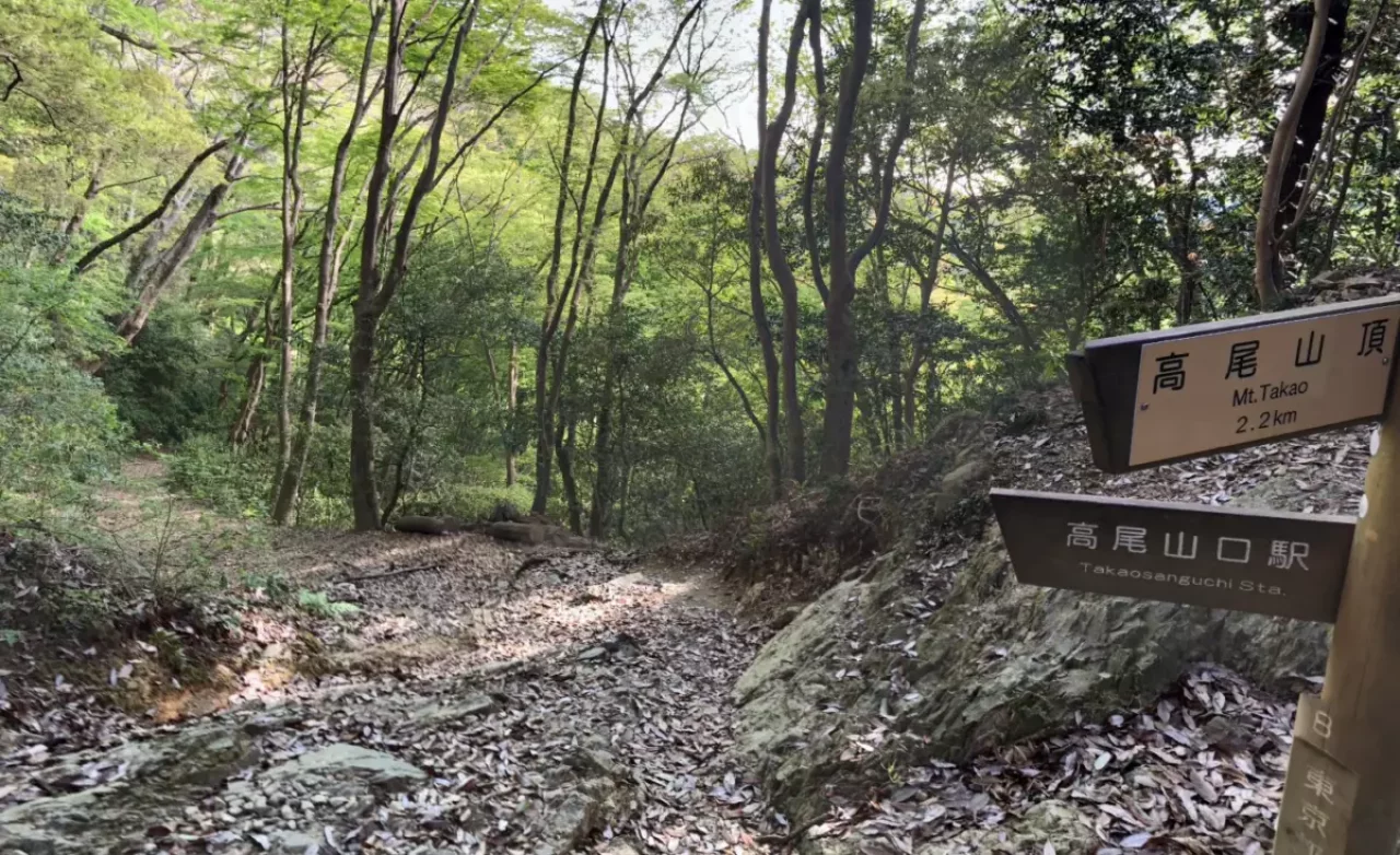 高尾山 登山 登山道