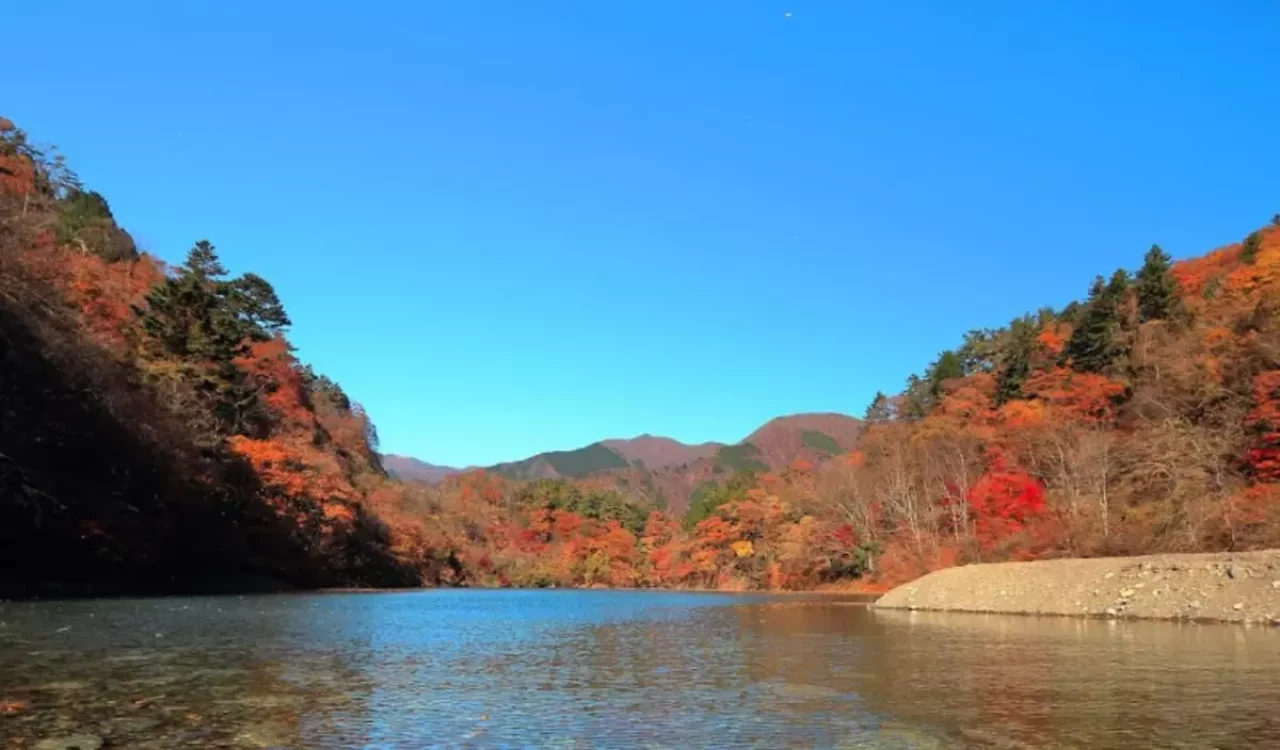 紅葉登山 奥多摩周辺