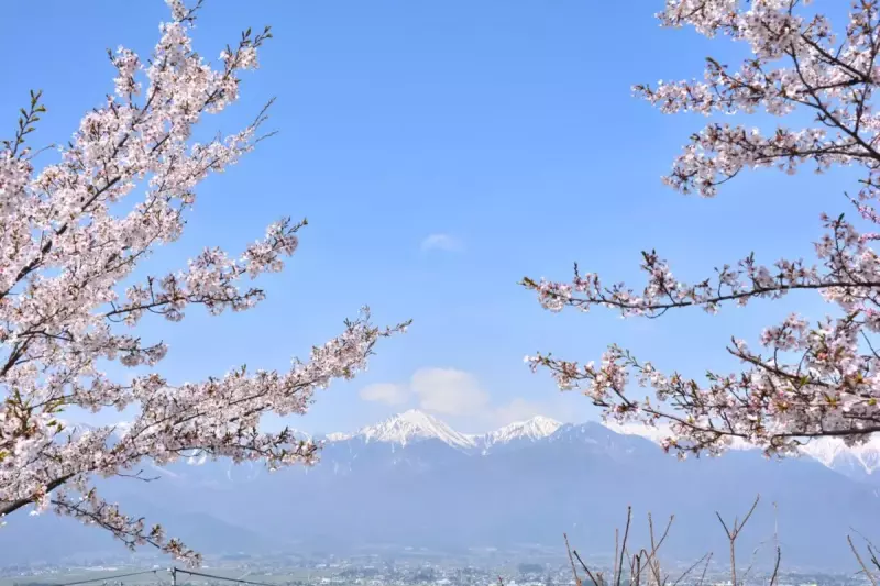 【日帰り登山】桜×北アルプスの絶景!初心者におすすめ「光城山」の難易度別ルート紹介|ルート紹介から探す|登山・トレラン・山スキーマガジン「山旅旅」