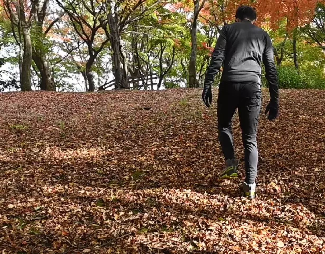 ポイント③:一定のリズムで歩く