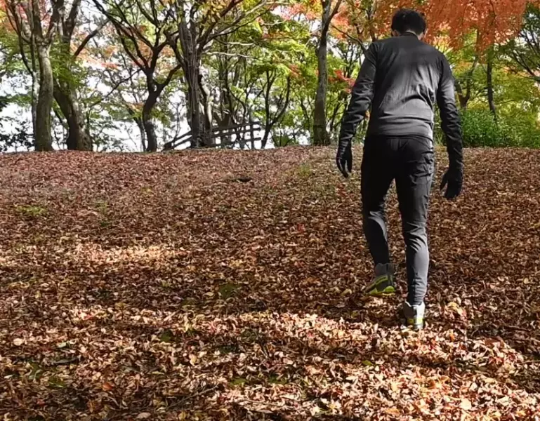 ポイント③:一定のリズムで歩く