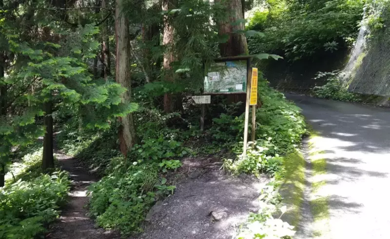 新ハイキングコース分岐